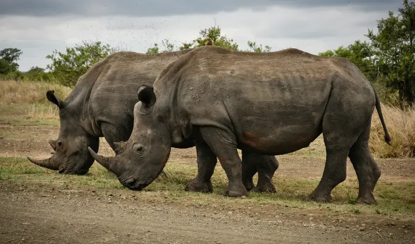 Viaje ruta-gran-africa-del-sur
